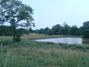 Photo of Pleasant Valley